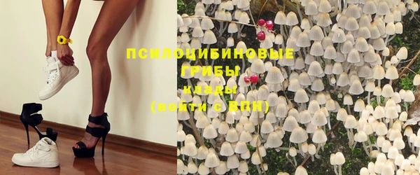 ECSTASY Алексеевка