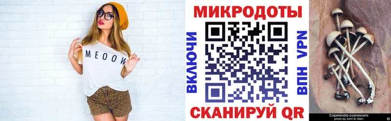 Псилоцибиновые грибы мицелий  Санкт-Петербург 