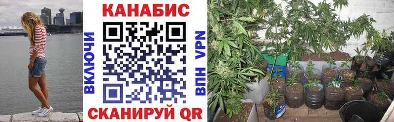 Марихуана SATIVA & INDICA  цены наркотик  Санкт-Петербург 